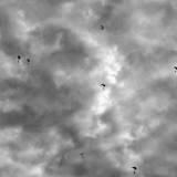 Wingsuits over Perris