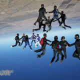 Fly Down