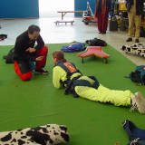 tandem briefing