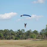 Somebody Swooping, sort of