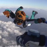 penn state flying nittany lion mascot