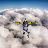 Zoltan on Vacation