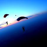 Sunset Canopy Flock