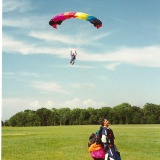 Scan 207