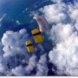 canopy8