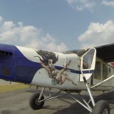 plane 2 TSA