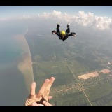 Free fly