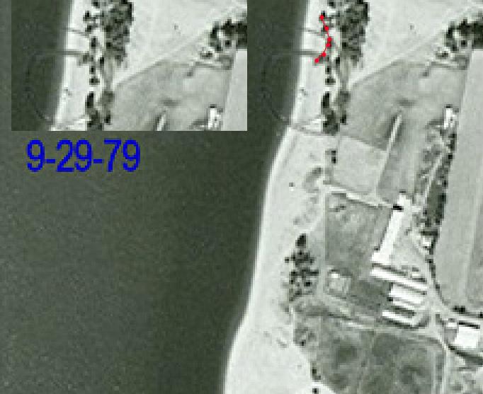 tbar79treeline.jpg.8f2fd6649adc3f3428b2544cda15580d.jpg