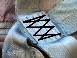 quag-1.jpg.4b0b0395581023e26556893e872267c2.jpg
