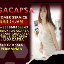 blogligacapsa