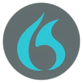 Dragon Dictation Software