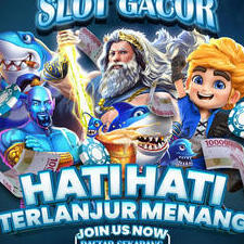 bocah77