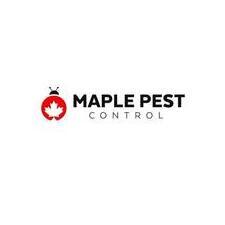 maplepest