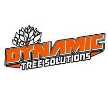 Dynamic Tree Solutions