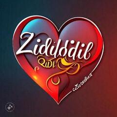 zididiltv